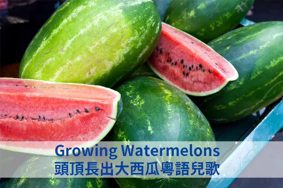 Growing Watermelons Nursery Rhyme Lyrics 頭頂長出大西瓜粵語兒歌歌詞