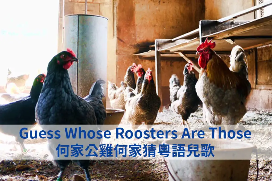 Guess Whose Roosters Are Those Cantonese Nursery Rhyme 何家公雞何家猜粵語兒歌