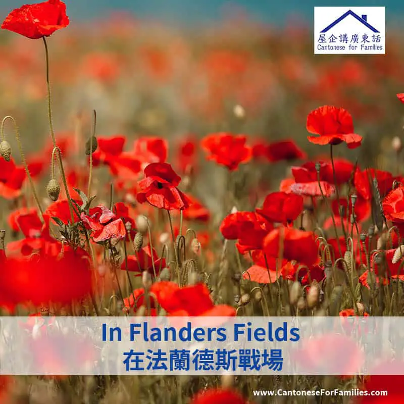In Flanders Fields 在法蘭德斯戰場